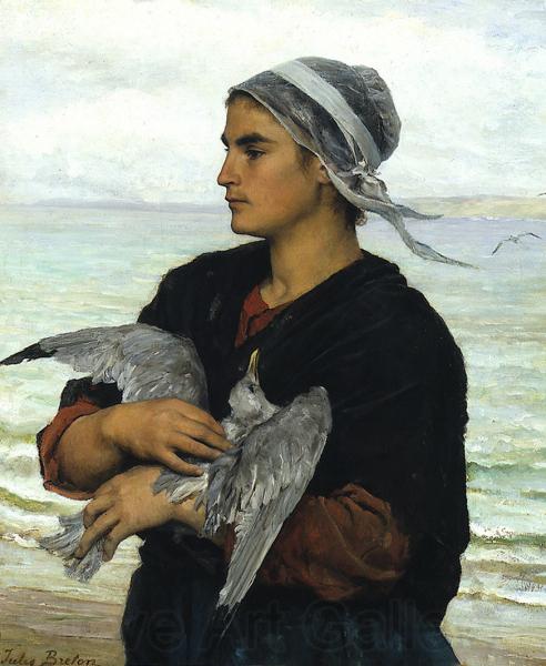 Jules Breton The Wounded Sea Gull Spain oil painting art